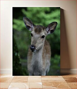 Πίνακας, Young Deer in Forest Νεαρά ελάφια στο δάσος