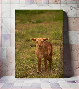 Πίνακας, Young Lamb in the Field Νεαρό αρνί στο χωράφι