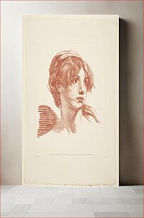 Πίνακας, Young woman face by Jacques D Y Chereau