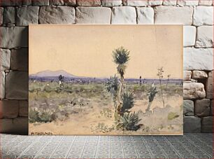 Πίνακας, Yuccaland--Chihuahua, Mexico, William Henry Holmes