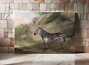 Πίνακας, Zebra (1803) by Jacques–Laurent Agasse