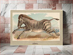 Πίνακας, Zebra, from the Animals of the World series (T180), issued by Abdul Cigarettes