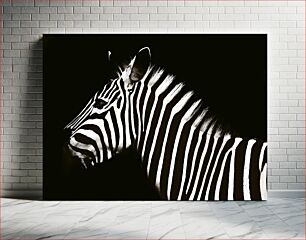 Πίνακας, Zebra in Contrast Ζέβρα σε αντίθεση