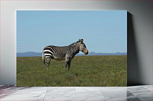 Πίνακας, Zebra in the Grassland Ζέβρα στο Λιβάδι