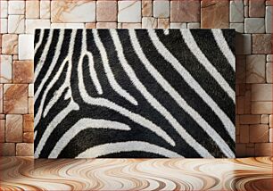 Πίνακας, Zebra Stripes Close-Up Κοντινό πλάνο Zebra Stripes