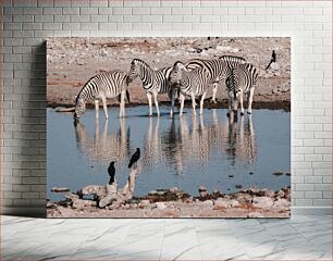 Πίνακας, Zebras at a Watering Hole Ζέβρες σε ποτιστήρι