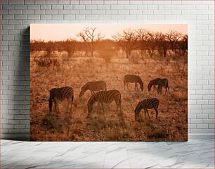 Πίνακας, Zebras at Sunset Ζέβρες στο ηλιοβασίλεμα