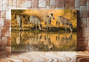 Πίνακας, Zebras Drinking Water Ζέβρες πόσιμο νερό