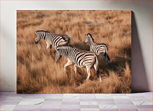 Πίνακας, Zebras in the Golden Grassland Ζέβρες στο Χρυσό Λιβάδι