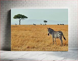 Πίνακας, Zebras in the Savanna Ζέβρες στη Σαβάνα