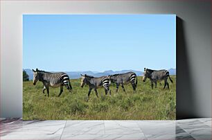 Πίνακας, Zebras in the Wild Ζέβρες στην άγρια ​​φύση